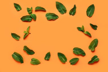 Arkaplanda yeşil nane yapraklarından yapılmış çerçeve