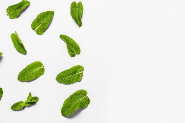 Beyaz zemin üzerinde taze nane yaprakları olan kompozisyon
