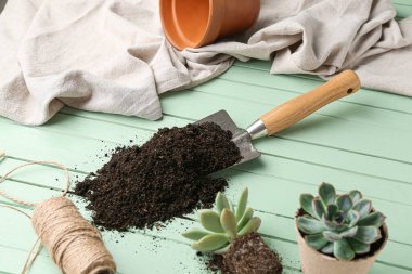 Shovel with soil and succulent plants on green wooden background, closeup