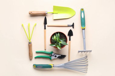 Set of different gardening tools and plant on beige background