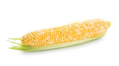 Beyaz arkaplanda taze mısır koçanı