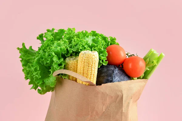 Paper Bag Fresh Vegetables Pink Background Grocery Shopping Concept — Stock Photo, Image