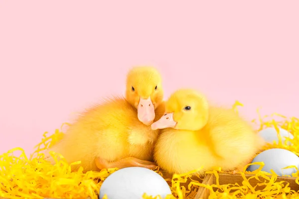 Wooden box with eggs and cute ducklings on pink background