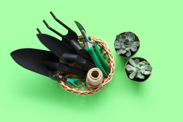 Basket Gardening Tools Succulent Plants Green Background — стокове фото