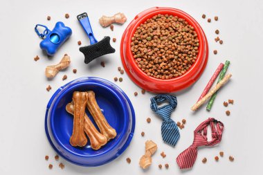 Açık arkaplanda farklı köpek mamaları ve aksesuarları olan kompozisyon