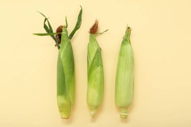 Sarı arka planda taze mısır koçanları