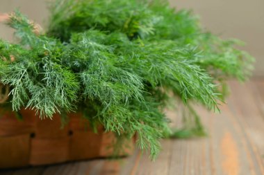 Masada taze dereotlu sepet.