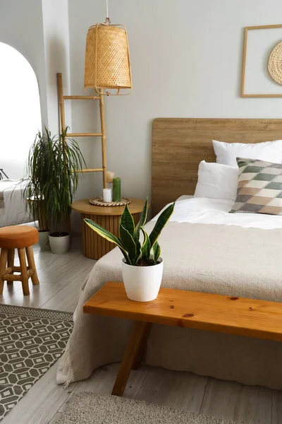 ライト ベッドルームの家の植物が付いている木のベッドの側面のベンチ — ストック写真