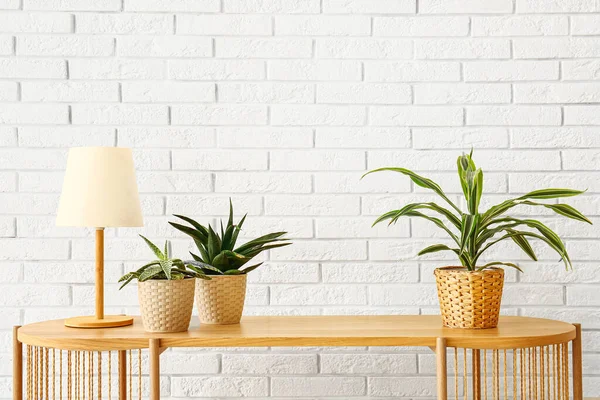 Beyaz Tuğla Duvarın Yanındaki Masada Lamba Olan Yeşil Bitkiler — Stok fotoğraf