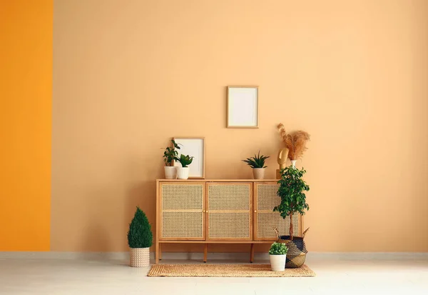 Chest Drawers Houseplants Frame Beige Wall Room — Stock Photo, Image