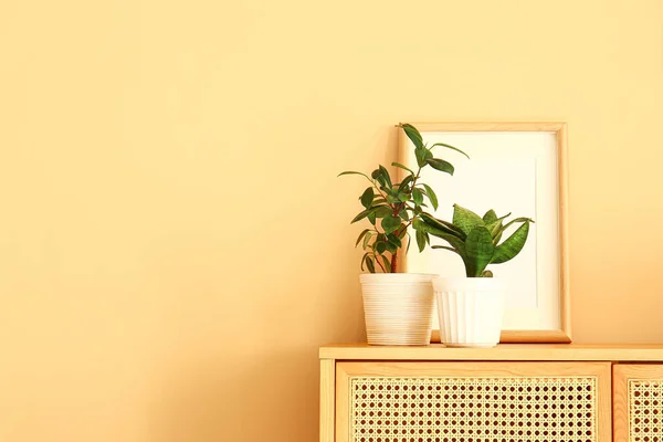 Grüne Zimmerpflanzen Mit Rahmen Auf Kommode Nahe Beiger Wand — Stockfoto