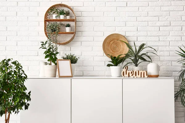 Green Houseplants Frame Chest Drawers White Brick Wall — Stock Photo, Image