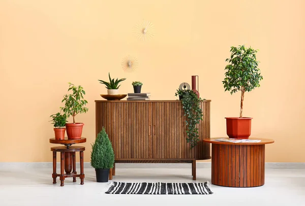 Odada Bej Duvarın Yanında Masalı Çekmeceler Bitkiler Var — Stok fotoğraf