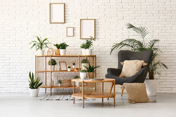 Interior Living Room Houseplants Tables Armchair — Stock Photo, Image