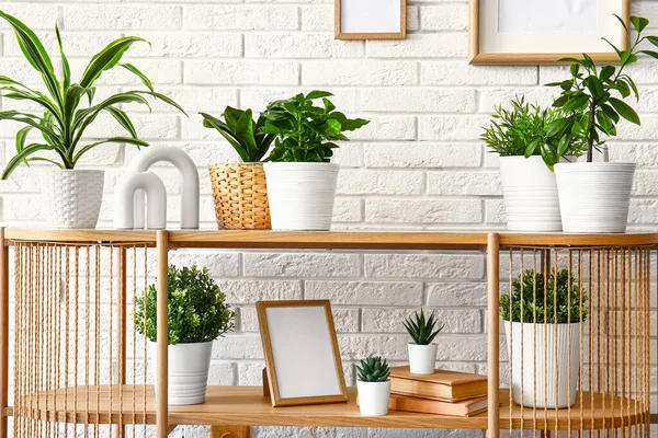 Стол Домашними Растениями Рамой Книгами Стены Белого Брика — стоковое фото