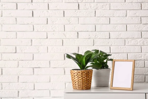 Green Houseplants Blank Frame Shelf White Brick Wall — Stock Photo, Image