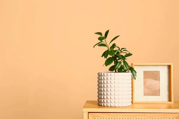 Green Houseplant Frame Shelf Beige Wall — Stock Photo, Image