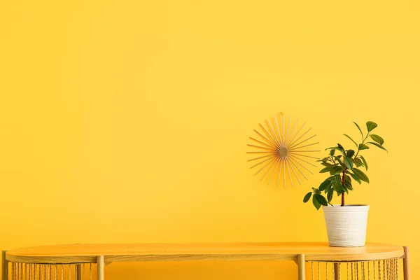 Πράσινο Φυτό Εσωτερικού Χώρου Στο Τραπέζι Κοντά Στον Κίτρινο Τοίχο — Φωτογραφία Αρχείου