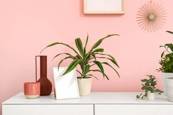 Green Houseplants Chest Drawers Pink Wall Room — Stock Photo, Image