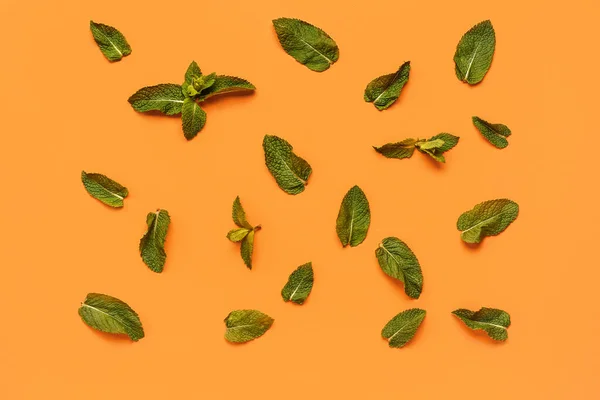 Composition with green mint leaves on color background