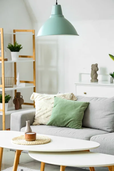 Interior Modern Living Room Sofa Coffee Tables Plants — Stock Photo, Image