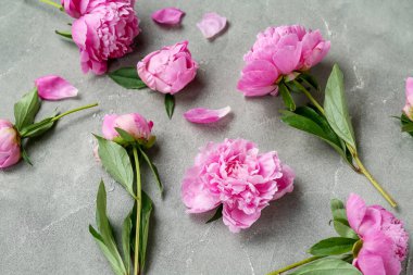 Arkaplanda güzel şakayık çiçekleri olan kompozisyon