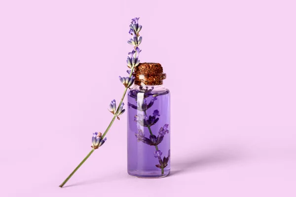 Bottle of lavender essential oil on lilac background
