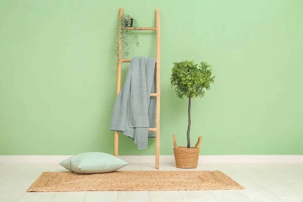 Ladder Cozy Blanket Green Wall — Stock Photo, Image
