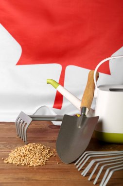 Tahta masanın üzerinde Kanada bayrağı ve tohumları olan bahçe aletleri.