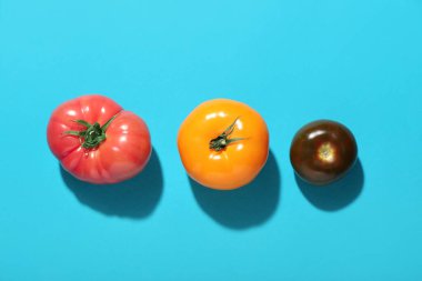 Mavi arka planda farklı taze domatesler