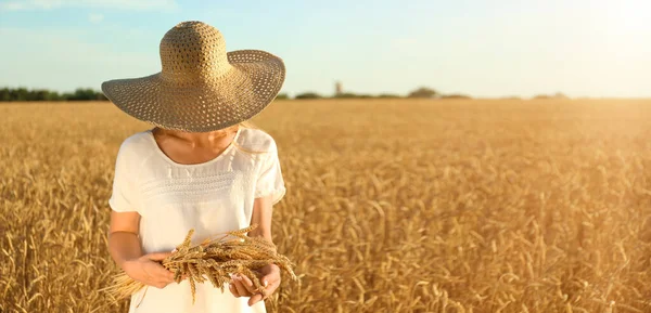 Beautiful Woman Wheat Spikelets Field — Stock Photo, Image
