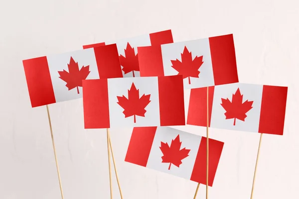 Banderas Papel Canadá Sobre Fondo Blanco —  Fotos de Stock