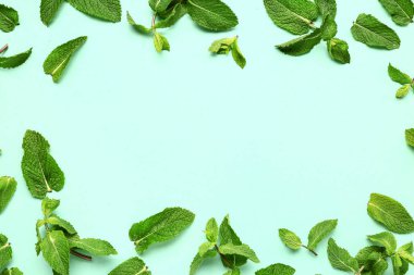 Renkli arkaplanda taze nane yapraklarından yapılmış çerçeve