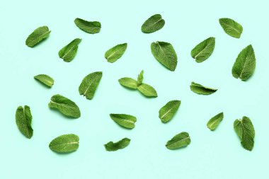 Renkli arkaplanda taze nane yaprakları olan kompozisyon