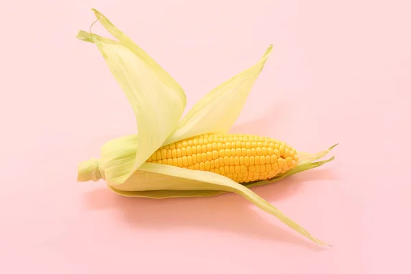 粉红背景的新鲜玉米芯 — 图库照片