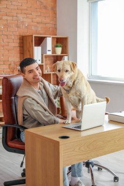 Ofiste labrador köpeği olan genç bir adam var.