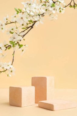 Dekoratif podyumlar ve bej arka planda çiçek açan şubeler