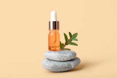 Bir şişe kozmetik yağı, okaliptüs dalı ve bej arka planda taşlar.