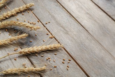 buğday kulak ve tahıl ahşap tablo