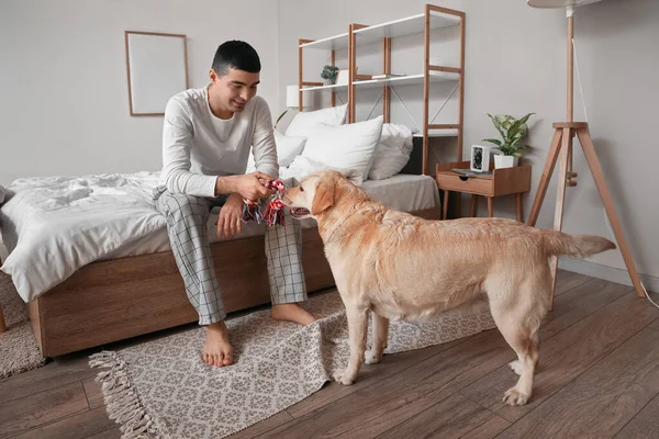 Young Man Playing Cute Labrador Dog Toy Bedroom — Stock Photo, Image