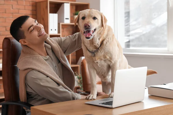 Joven Con Lindo Perro Labrador Mesa Oficina —  Fotos de Stock