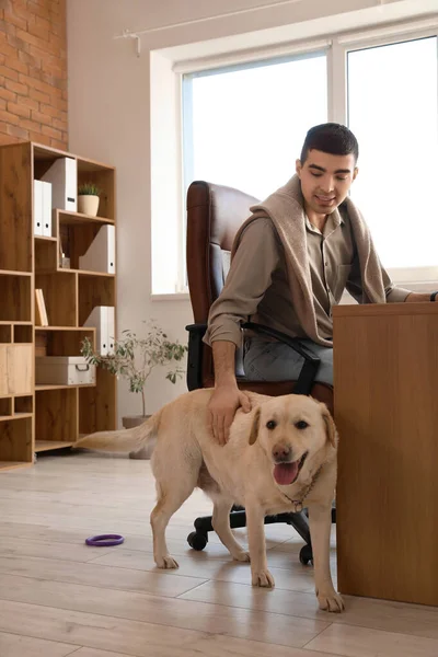 Joven Con Lindo Perro Labrador Oficina —  Fotos de Stock
