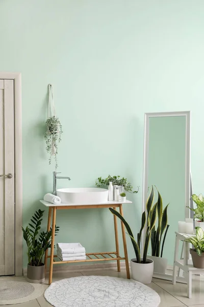 Fürdőszoba Mosogatóval Tükörrel Szobanövényekkel — Stock Fotó