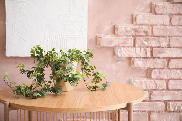 Ξύλινο Τραπεζάκι Σαλονιού Houseplant Στο Δωμάτιο Κοντά Ροζ Τοίχο — Φωτογραφία Αρχείου
