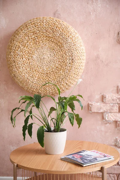 Wooden Coffee Table Magazines Houseplant Room Pink Brick Wall — Stock Photo, Image
