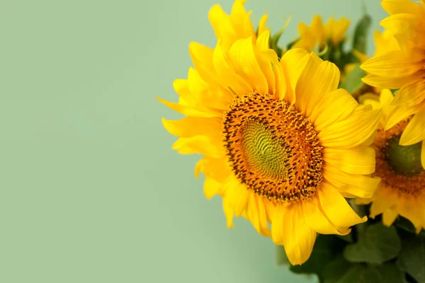 Strauß Schöner Sonnenblumen Auf Grünem Hintergrund Nahaufnahme — Stockfoto