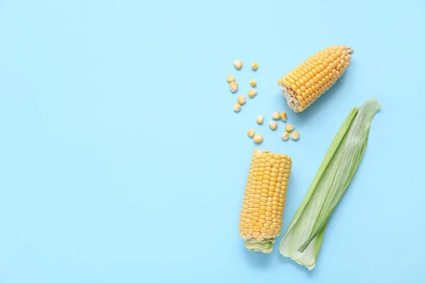 Fresh Corn Cobs Kernels Blue Background — Stock Photo, Image