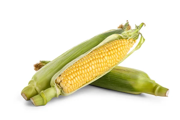 Kolby Świeżych Kukurydzy Białym Tle — Zdjęcie stockowe
