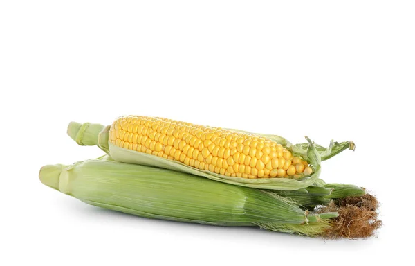 Свіжі Кукурудзяні Камери Ізольовані Білому Тлі — стокове фото