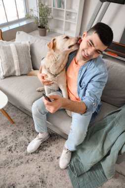 Labrador köpeği olan genç bir adam evdeki kanepede televizyon izliyor.